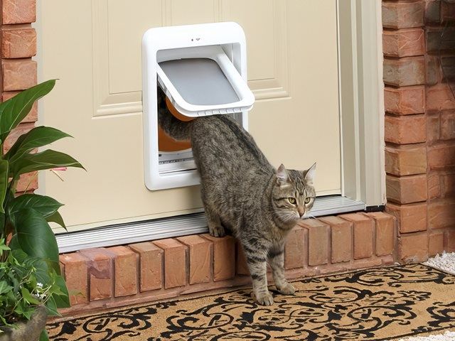 Cat Flap Fitting Services Garforth